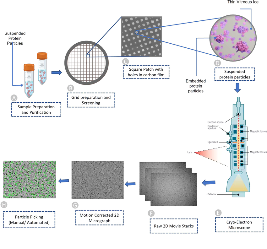 Cryo-EM Preparation